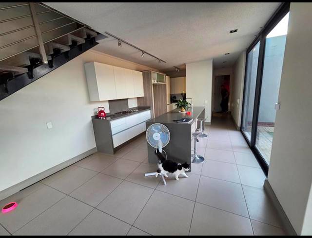 4 BEDROOM PROPERTY TO RENT IN WATERKLOOF RIDGE